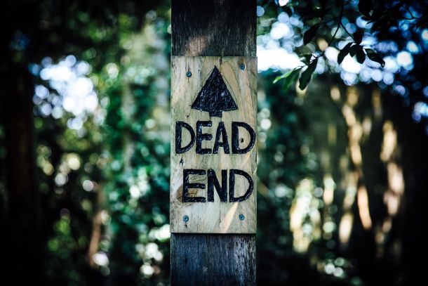 dead end sign outside with greenery in the background